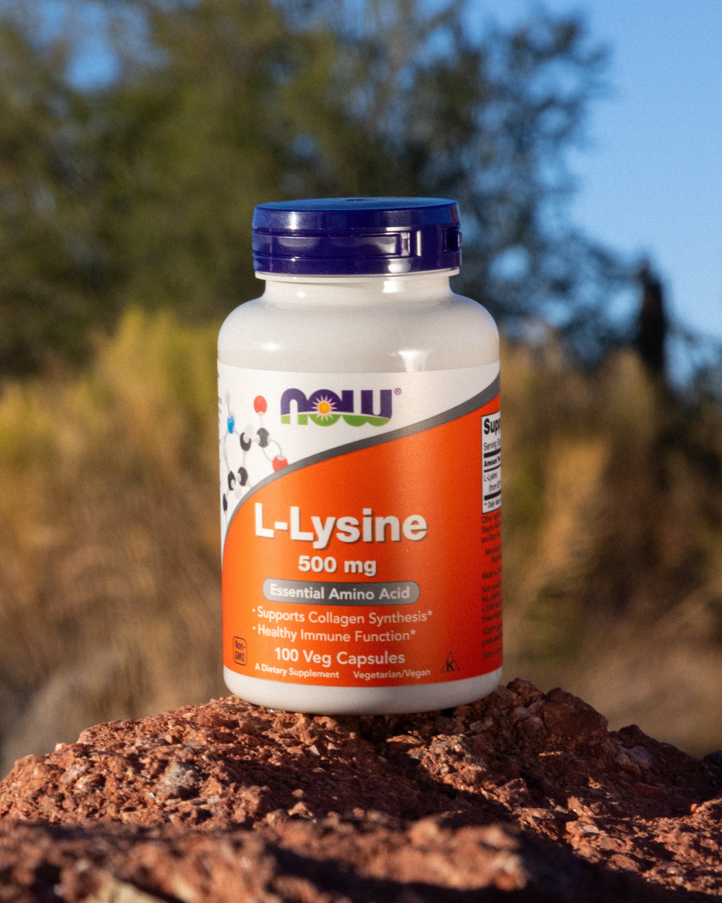 NOW Foods L-Lysine 500mg
